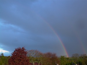 Regenbogen im Mai