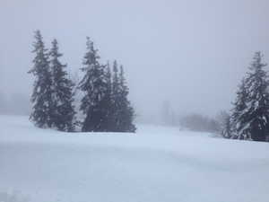 Winter im Schwarzwald